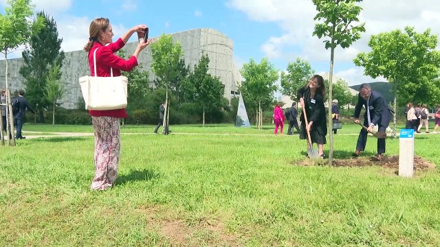 Galicia se suma a 'Árboles para la vida', una iniciativa del Comité Europeo de las Regiones