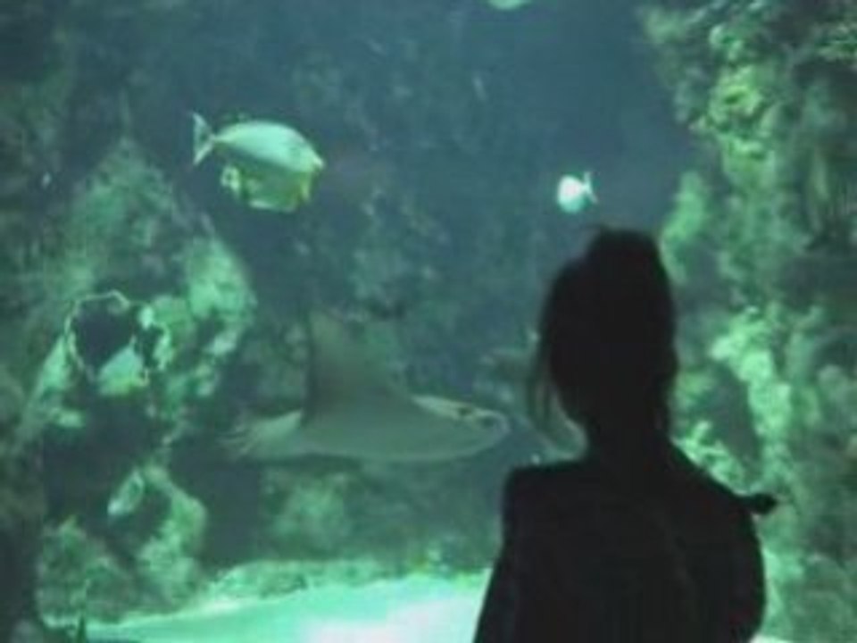 Aquarium