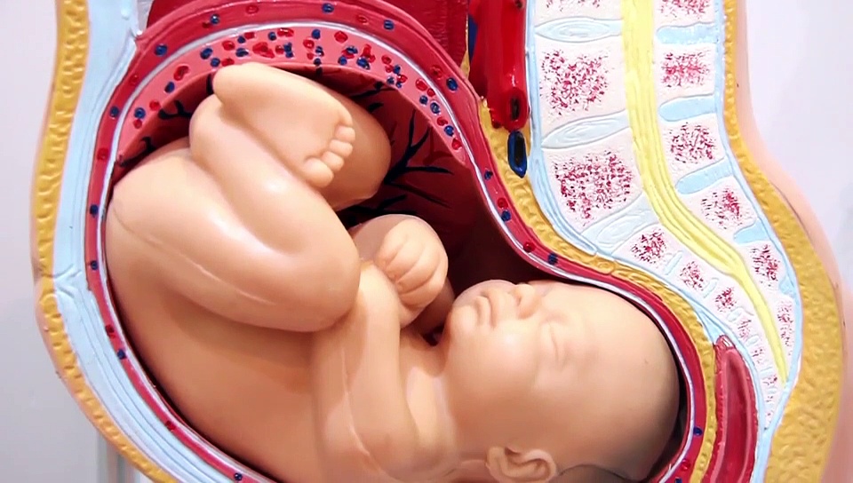 ഗർഭാവസ്ഥയിൽ  പുകവലി എന്തെല്ലാം ദോഷങ്ങളുണ്ടാക്കും?