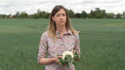 Why does Germany want to stop using farmland despite the food crisis?