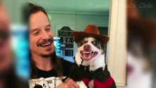 The Best Funny Videos Of Cats And Dogs  - Funny Animals Compilation