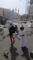 Playing with Pigeons | Pigeons of Baitullah | Group of Pigeons
