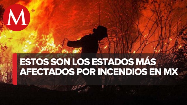 Comisión Nacional Forestal reporta 4 mil 731 incendios forestales en lo que va del 2022
