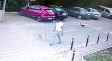 Yolda yürürken sebepsiz yere köpeğe tekme attı...O anlar kamerada