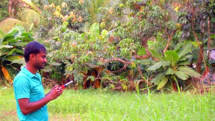 3 Crazy Science Experiments By VisioNil