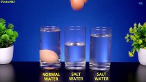 9 Amazing Salt Tricks   Science Experiments With Salt