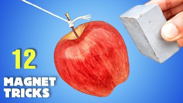 12 Awesome Magnet Tricks Science Experiments With Magnet