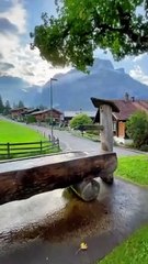 سويسرا مكان للراحه النفسيه | Switzerland is a place of mental rest