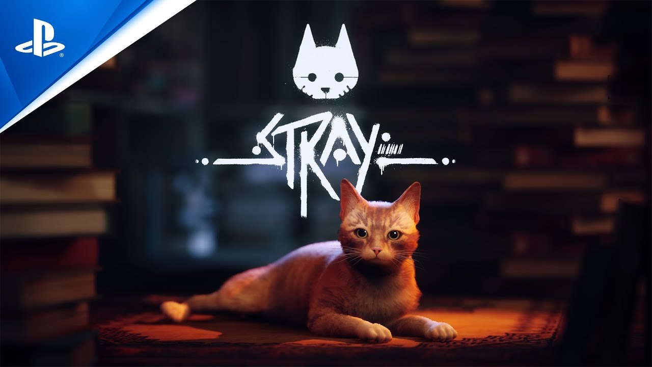 Stray - Trailer date de sortie