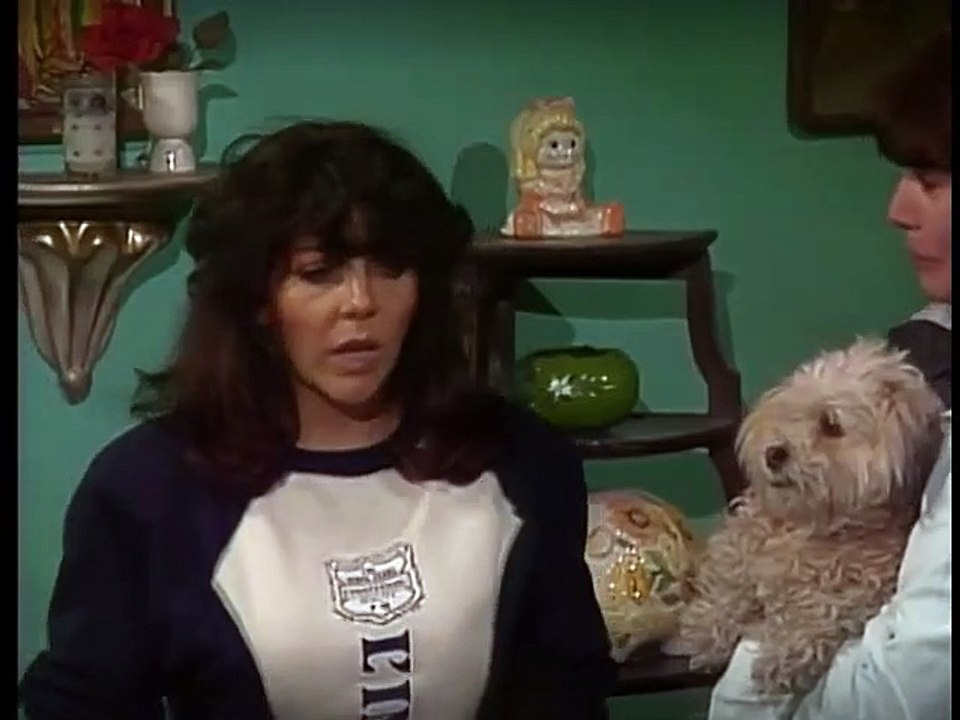 Rosa salvaje capitulo 164