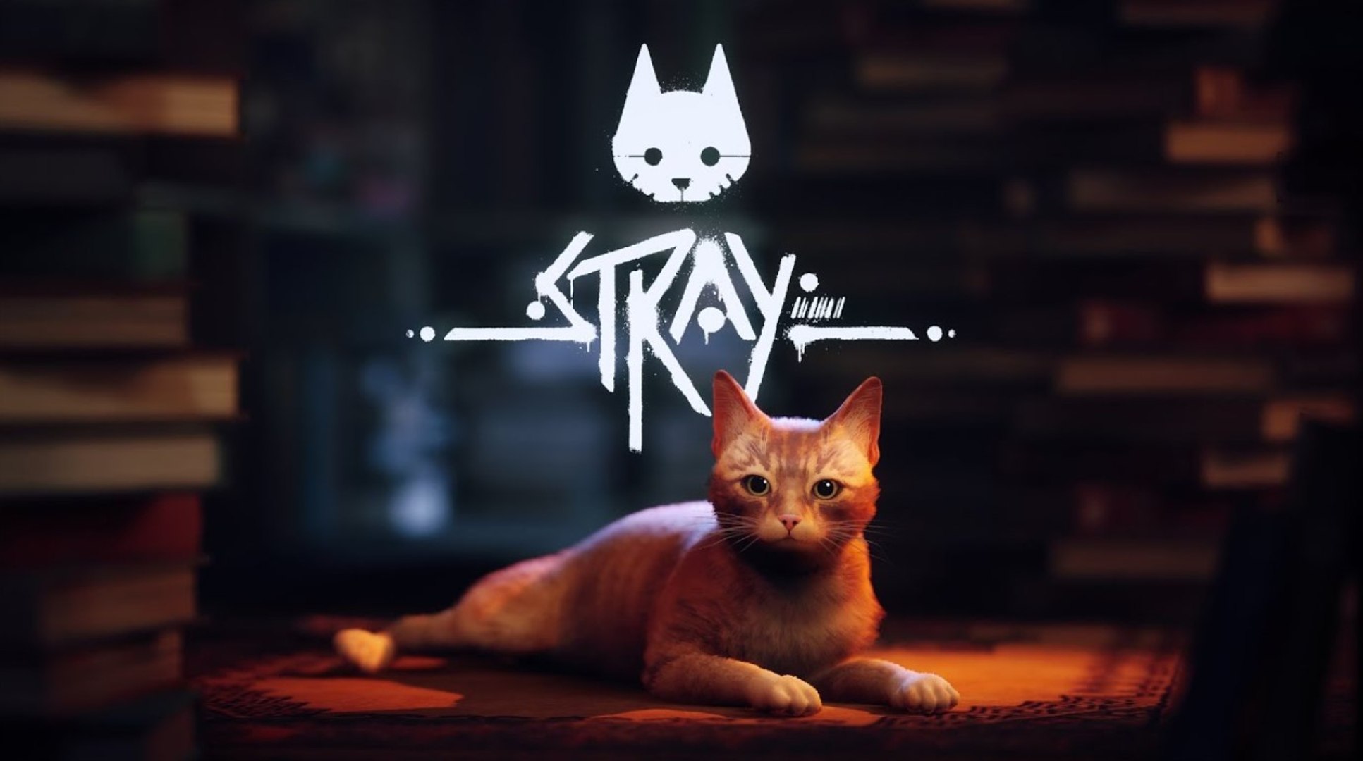 ⁣Stray - Tráiler PS5 y PS4