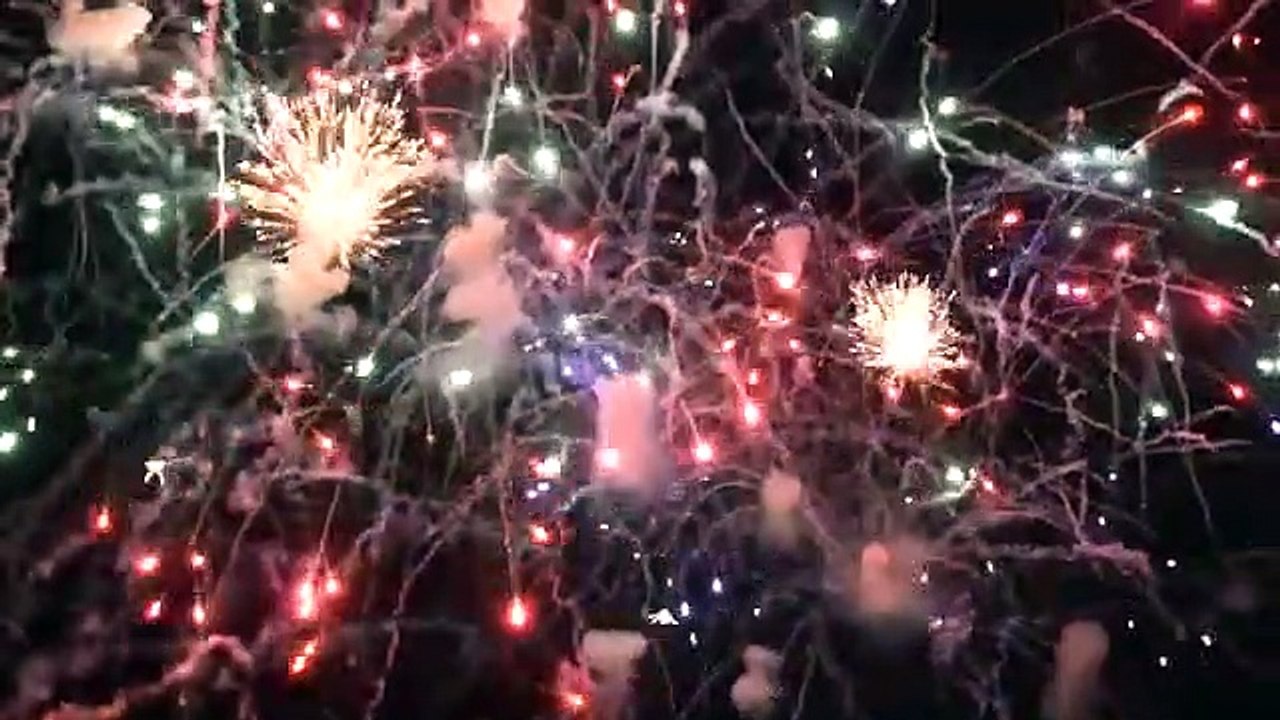 firework party