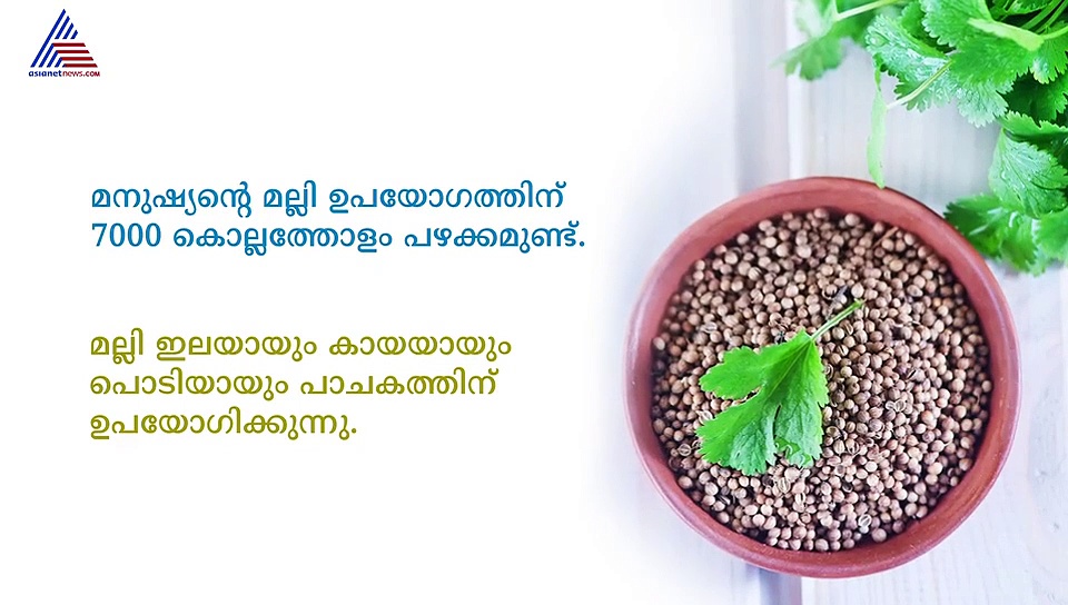 മല്ലി തന്നെയോ ഈ പൊടി...