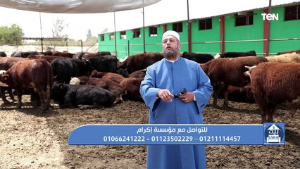 Download Video: جهود مؤسسة 