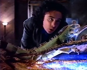 Jules Shear - Steady (Official Music Video)