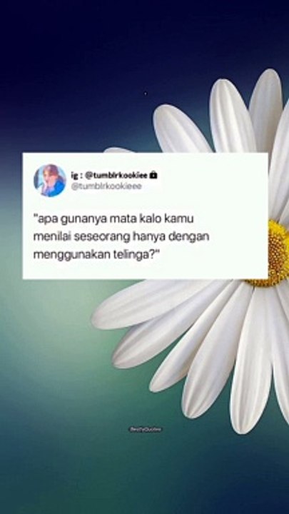 Shortquotes#2