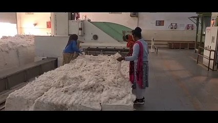 bhilwara news कॉटन महंगा होने से पॉलिस्टर मिक्स यार्न का उत्पादन