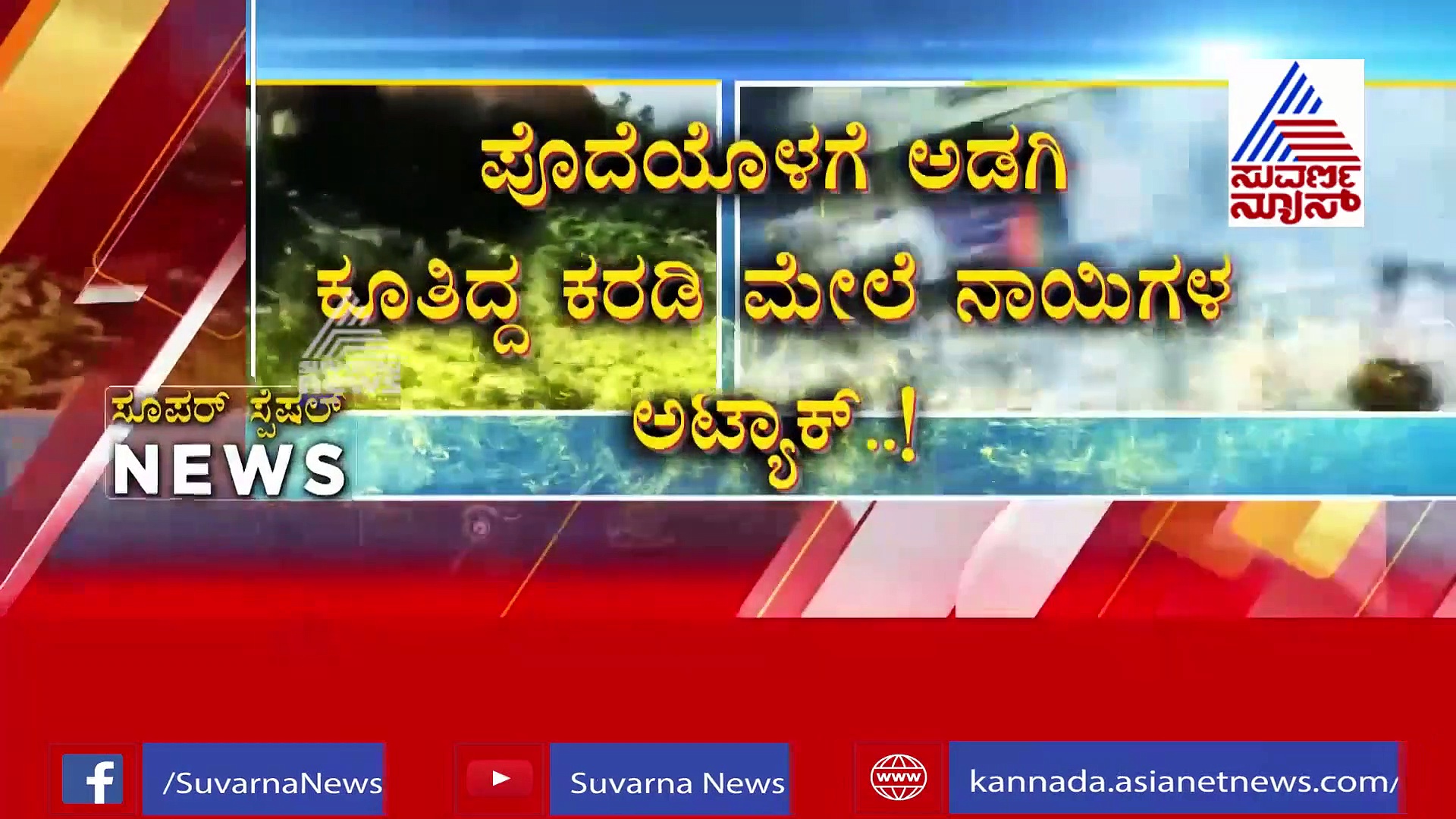 ಮೋದಿ ಬರ್ತಡೇ ಸಂಭ್ರಮದಲ್ಲಿ ಹೀಲಿಯಂ ಬಲೂನ್‌ಗಳು ಬ್ಲಾಸ್ಟ್; ಮುಂದೇನಾಯ್ತು? ನೋಡಿ!