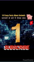 Interesting facts//facts//Top 10 Facts//amazing facts//fact videos//Viral facts// amazing facts of animals