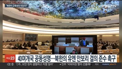 의장국 북한 성토한 유엔 군축회의…"무모한 행동 우려"