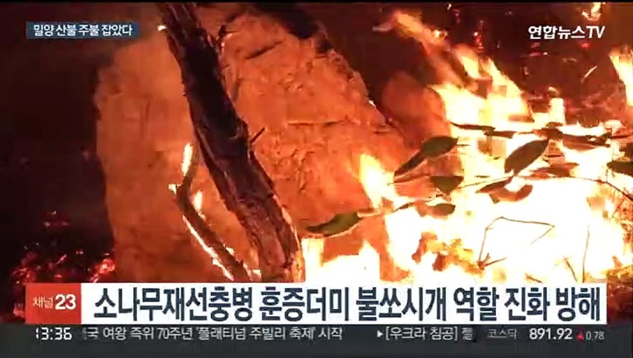 나흘만에 주불 잡은 밀양 산불…축구장 1천개 면적 피해