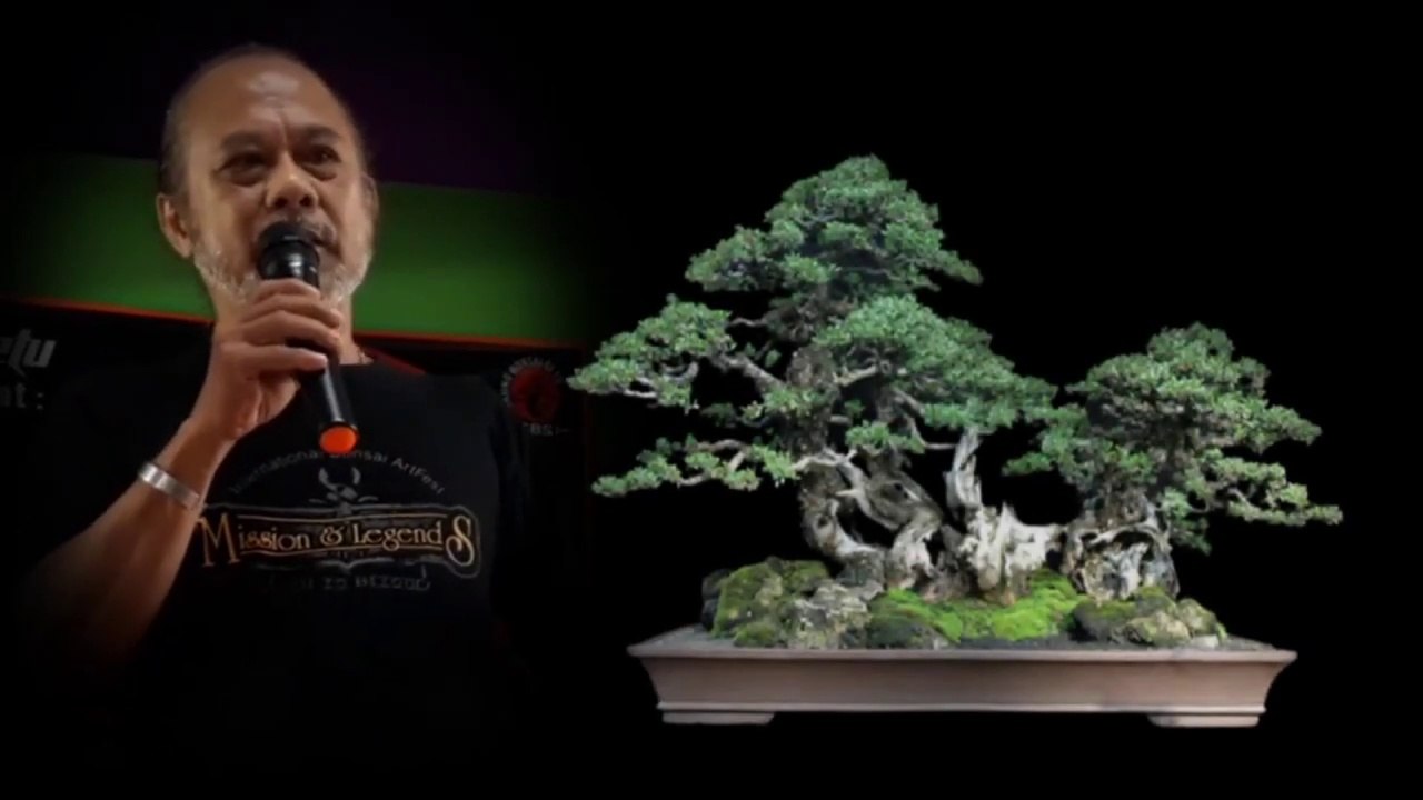 ROBERT STEVEN KONSEP DASAR DESAIN BONSAI