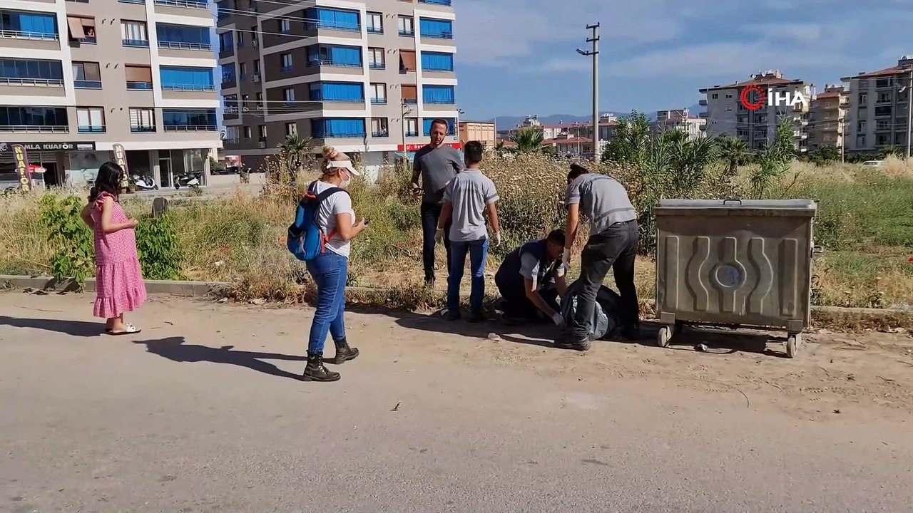 İzmir'de neler oluyor: Onlarca hayvanı zehirleyip öldürdüler