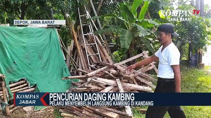 Maling Kambing, Sembelih di Kandang
