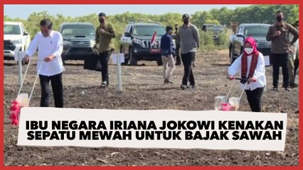 Bikin Penasaran! Ibu Negara Iriana Jokowi Kenakan Sepatu Mewah Untuk Bajak Sawah, Diduga Merek Gucci