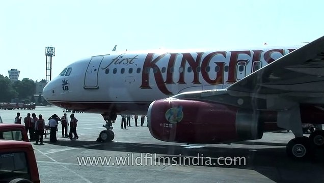 Kingfisher and Jet Airways planes on runway_ both defunct airlines