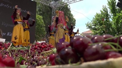 Buca'da Kiraz Festivali İçin Geri Sayım Başladı