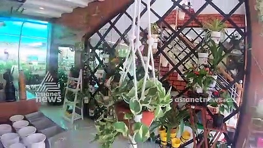 വീടിനുള്ളില്‍ ഒരു ഇന്‍ഡോര്‍ ഗാര്‍ഡന്‍; സഹായിക്കാന്‍ പോര്‍ട്ട്‌സ് ആന്‍ഡ് പെറ്റല്‍സ്