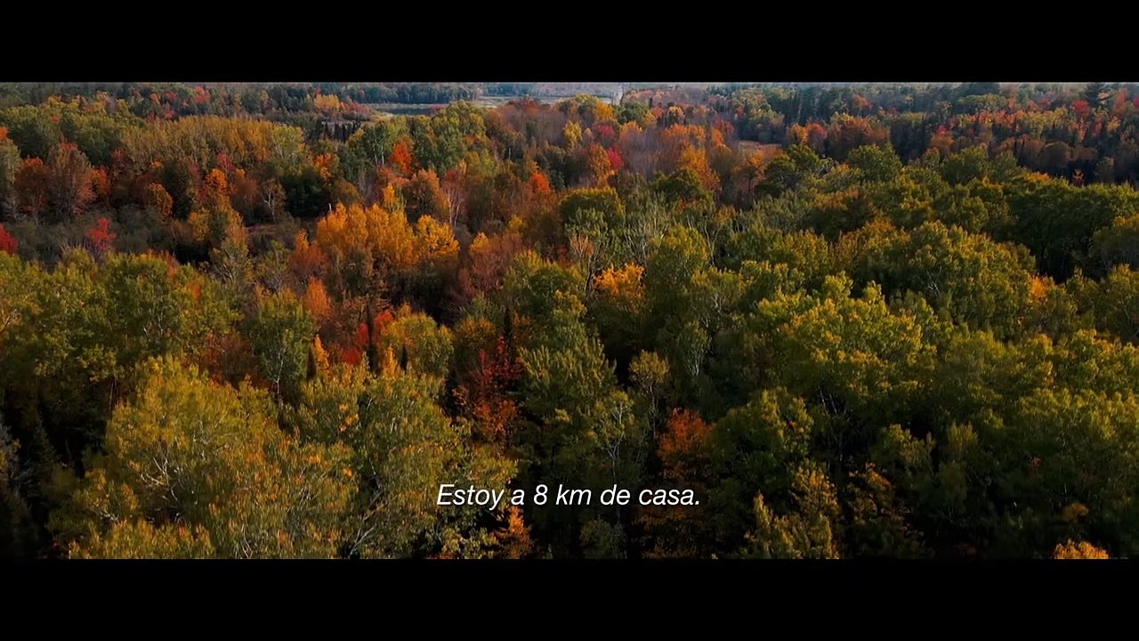 'Desesperada' - Tráiler oficial subtitulado