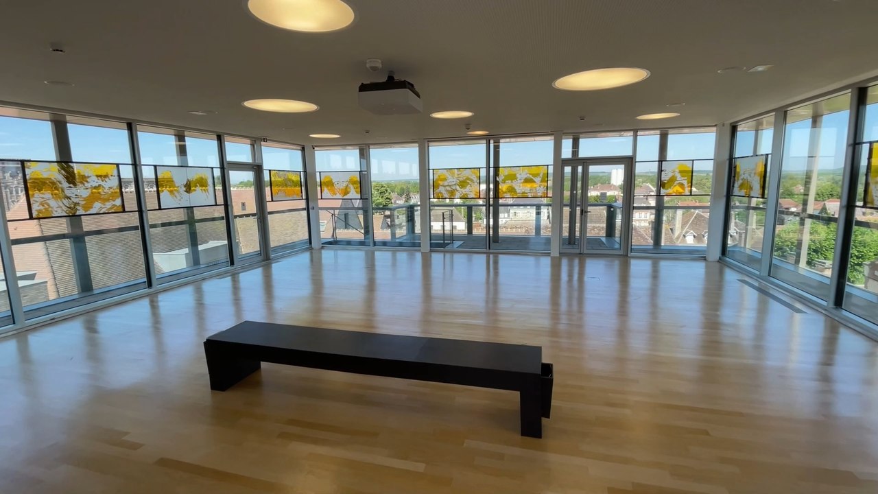 Découverte des œuvres de Fabienne Verdier au Musée Claudel de Nogent-sur-Seine – 4/5