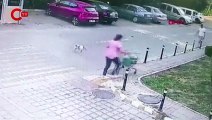 Silivri'de tepki çeken görüntü: Köpeğe tekme attı!
