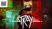 Stray, el juego que nos hará ser un gato, tiene fecha y estará disponible en el nuevo PS Plus