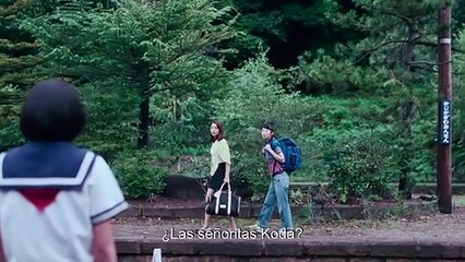 'Nuestra Pequeña Hermana' - Tráiler oficial