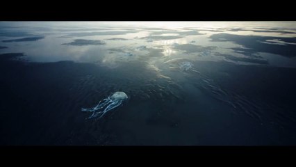 'Éxodo: La Última Marea'- Tráiler oficial