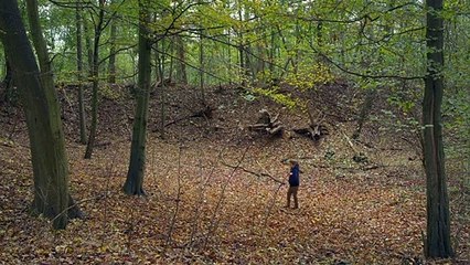 'Pequeña mamá' - Tráiler oficial en idioma original