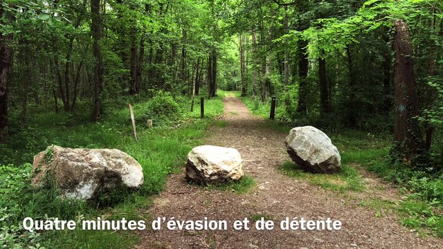 Quatre minutes d'évasion et de détente