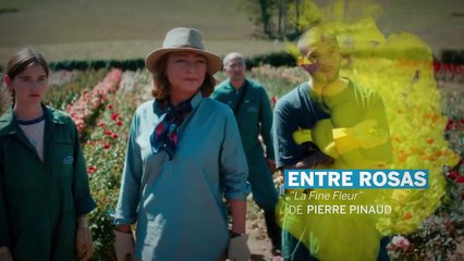 Festival Varilux de Cinema Francês 2022