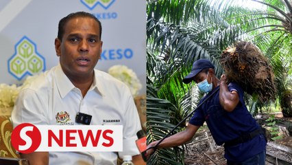 Plan for Indonesian workers to arrive still in process, says Saravanan