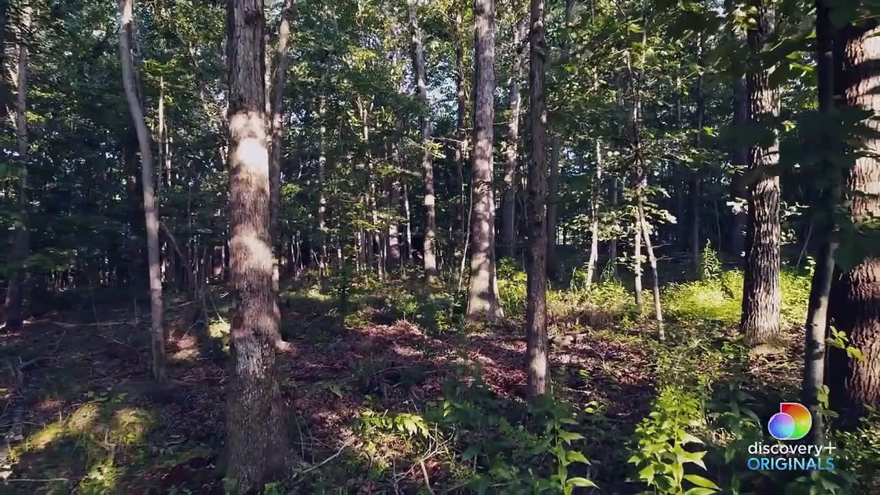 Uprooted Tráiler VO
