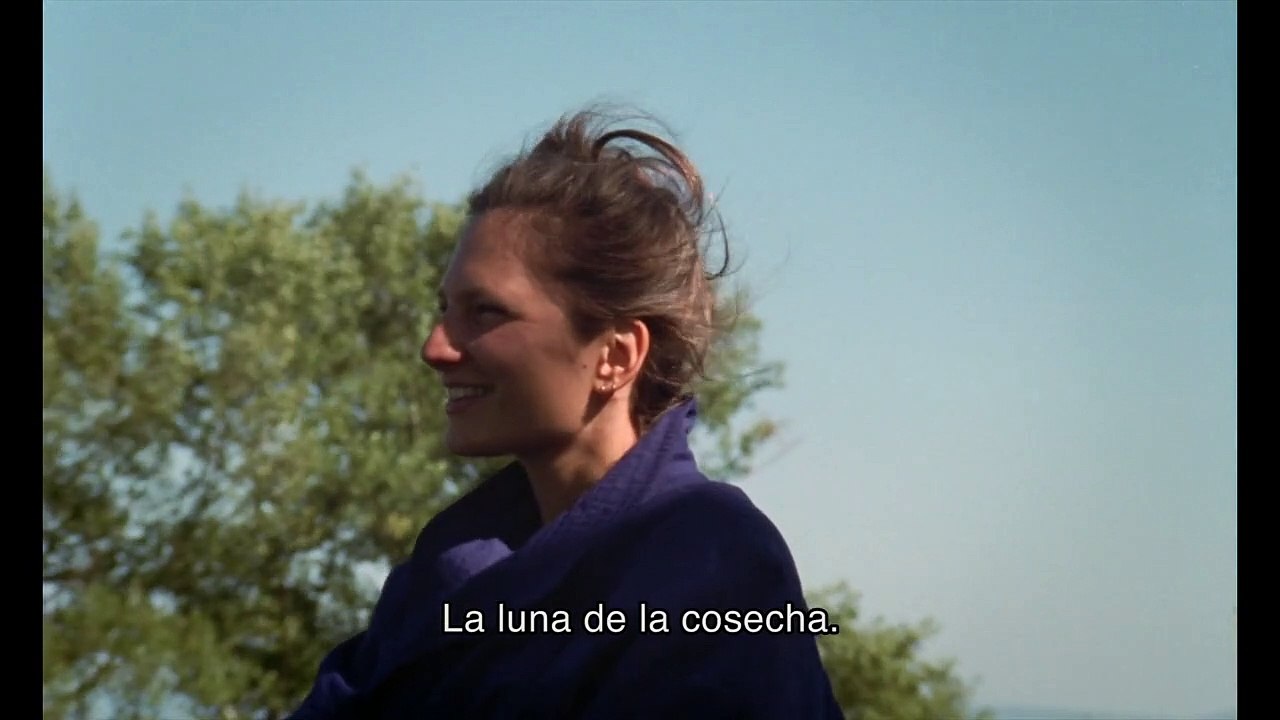 Outside Noise Tráiler VOSE