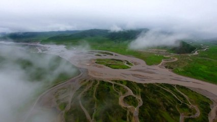 China’s first wetland protection law goes into effect