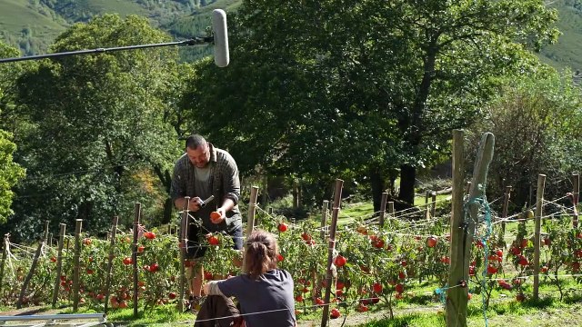 As bestas Cómo se hizo...