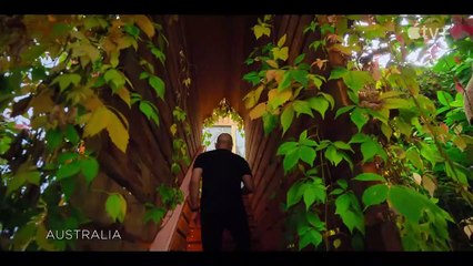 Home - temporada 2 Tráiler VO