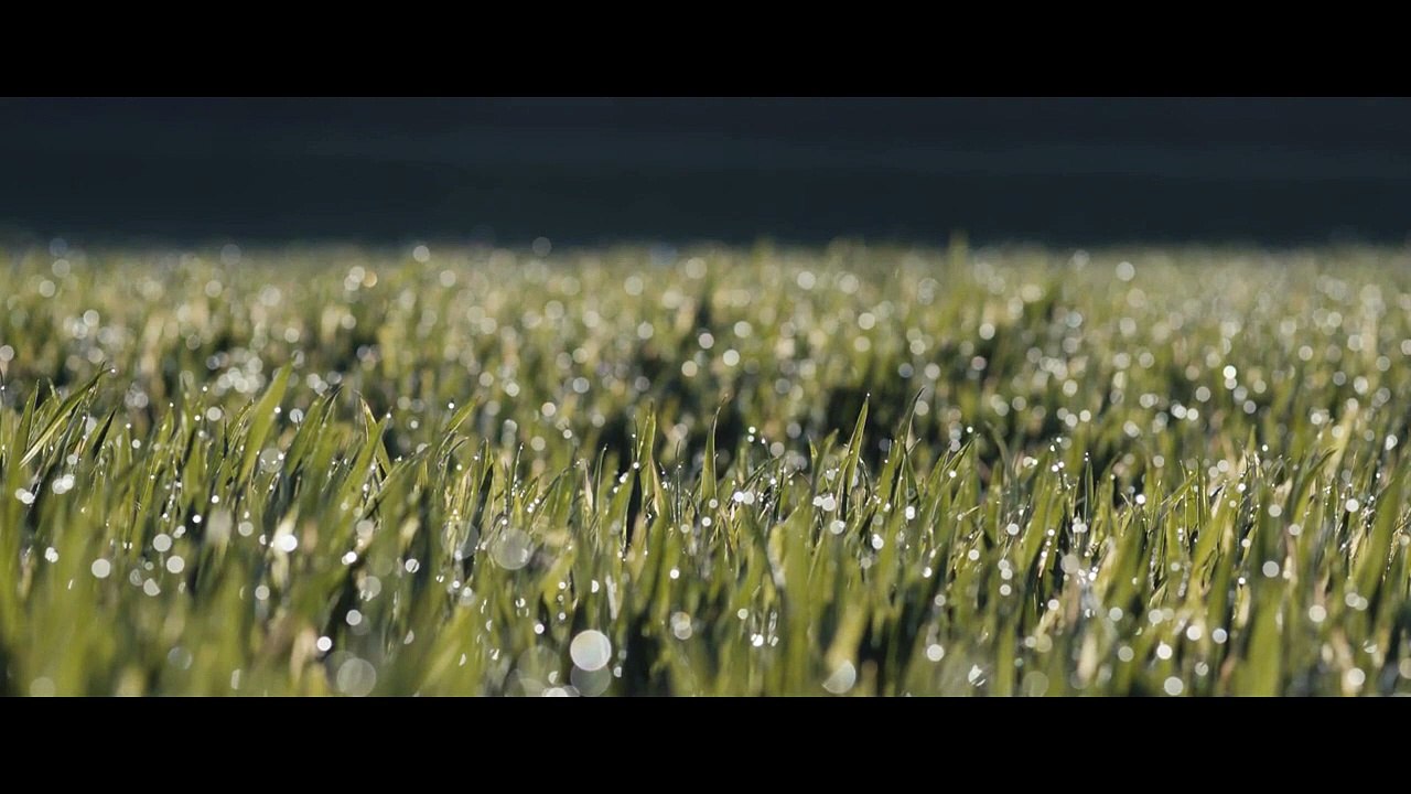 Comuneros Tráiler