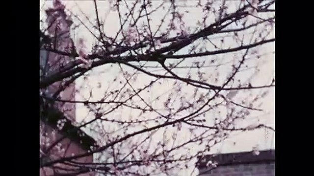 Sigmund Freud - Freud über Freud Trailer DF