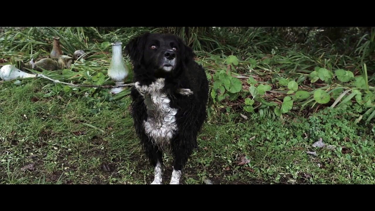 Caveat - Die Warnung Trailer DF